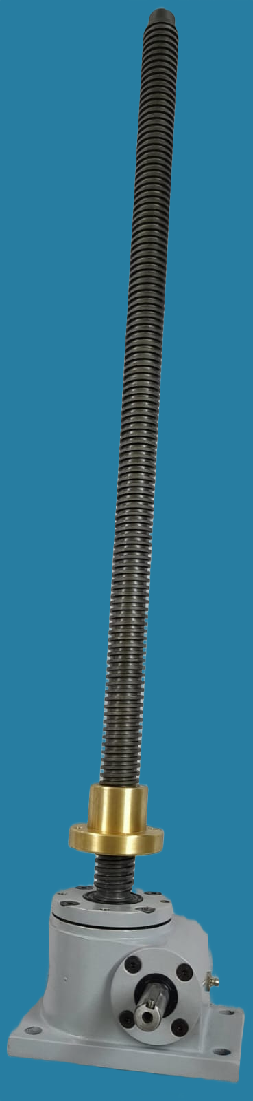 Lifting Screw