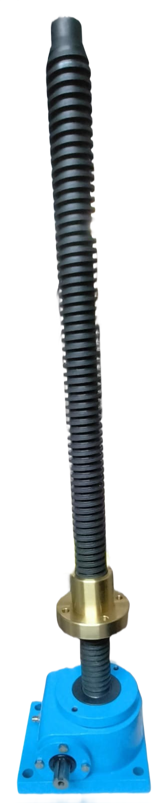 Lifting Screw